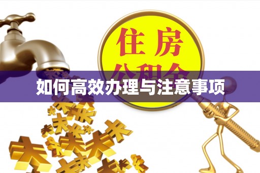 黔西南如何高效办理与注意事项