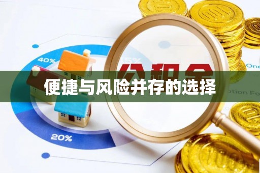 黔西南便捷与风险并存的选择